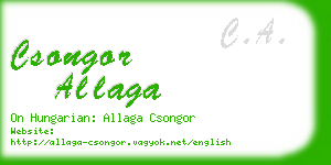 csongor allaga business card